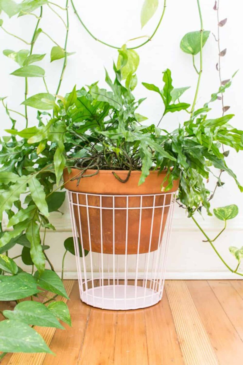50 easy to make DIY planters